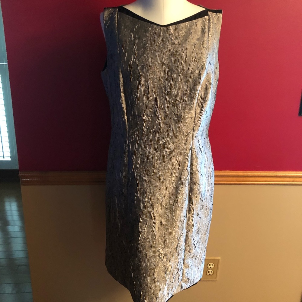 Elegant silver Dress.